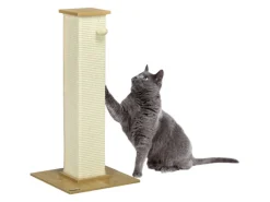 PawHut Kratzbaum 80 cm mit Spielball Kratzsäule aus Sisalseil