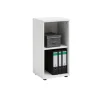 PROREGAL Büroregale^Aktenregal Tiger Small HxBxT 77 x 40 x 34 cm 2 Fächern Weiß