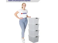 PROREGAL Aufbewahrungsbox Mit Deckel 30L 4er Set Klein Transparent Stapelbar Kunststoffbox Verschlussclips Stapelbox Aufbewahrungsbehälter Büro