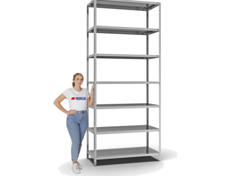 PROREGAL Schwerlastregal^Fachbodenregal Schraubsystem Light-Duty Grundregal HxBxT 300 x 130 x 60 cm 7 Ebenen Fachlast 125 kg Beidseitig Nutzbar
