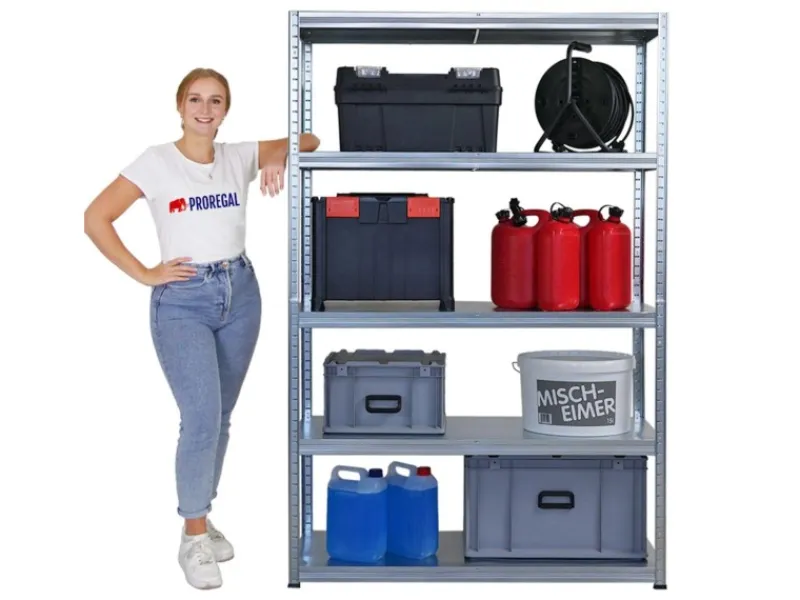 PROREGAL Mega Deal 2x Schwerlastregal Steel Eagle HxBxT 180x120x40 cm Fachlast 130kg Verzinkt