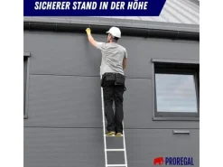 PROREGAL Sprossen-Anlegeleiter Economy Plus Ohne Traverse 9 Sprossen Arbeitshöhe 3,46 m Traglast 150 kg