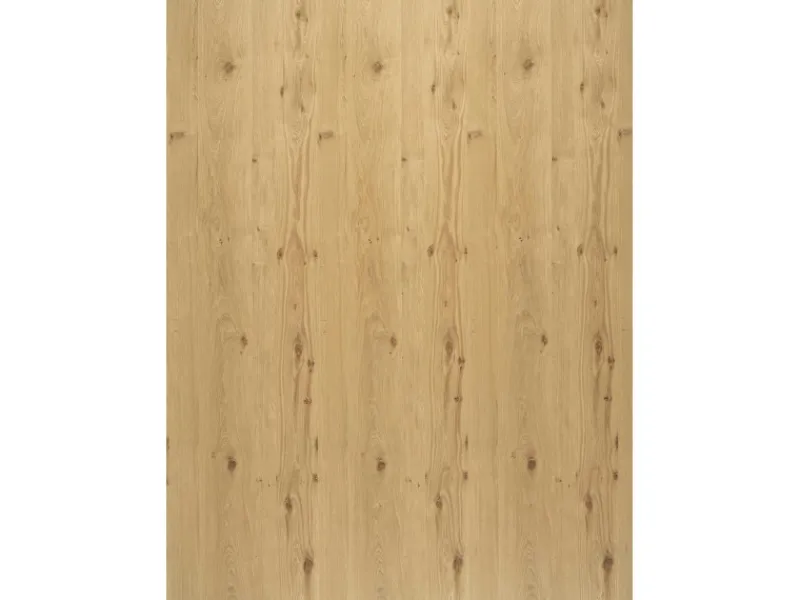 Regalboden Eiche Astig 120 cm x 50 cm x 1,6 cm