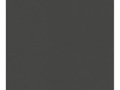 Wandregale|Schränke^Regalbrett 80 cm x 30 cm x 1,6 cm