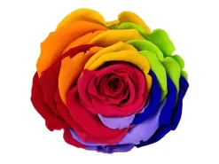 Ostern^Rosenbox Herz Weiß-Schwarz mit 13 Rainbow Rosen