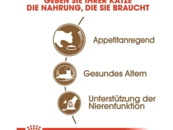 Royal Canin Katzenbedarf^Ageing 12+ Trockenfutter für ältere Katzen 2 kg