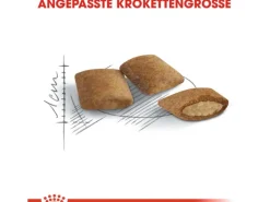 Royal Canin Katzenbedarf^Ageing 12+ Trockenfutter für ältere Katzen 2 kg