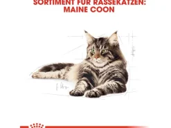 Royal Canin Maine Coon Adult Katzenfutter Trocken 10 kg