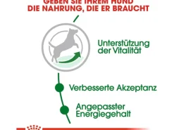 Royal Canin Hundebedarf^Mini Adult 8+ Trockenfutter Ältere Kleine Hunde 2 kg