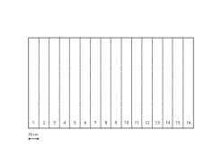 Sanders & Sanders Fototapeten^Fototapete Blumen Multicolor Auf Schwarz 800 x 250 cm 611946