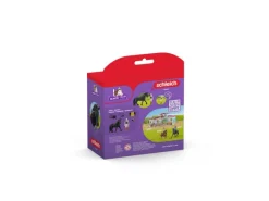 Schleich Geschenkartikel^Horse Club Tori und Princess Set