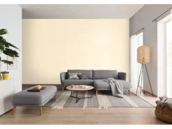 SCHÖNER WOHNEN-Farbe Kreativfarben^Schöner Wohnen Glimmerfarbe Light 2,5 l