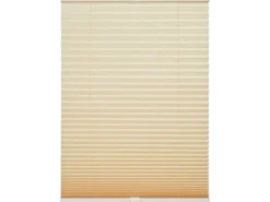 Schöner Wohnen Kollektion Plissees^Schöner Wohnen Plissee Milla 50 cm x 130 cm