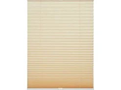 Schöner Wohnen Kollektion Schöner Wohnen Plissee Milla 80 cm x 130 cm