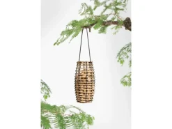 Singing Friend Vogeltränken^SingingFriend Vogelfutter-Spender Faya