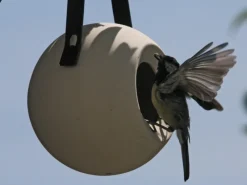 Singing Friend Vogelbedarf^SingingFriend Vogelhaus Lisa Grey