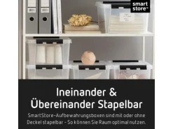 SmartStore Stifte^Aufbewahrungsbox Classic mit Deckel 1 l