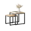 SoBuy Tische^2er Set Couchtisch Beistelltisch Sofatisch Kaffeetisch Natur FBT42-N