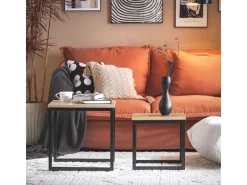 SoBuy Tische^2er Set Couchtisch Beistelltisch Sofatisch Kaffeetisch Natur FBT42-N