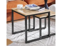 SoBuy Tische^2er Set Couchtisch Beistelltisch Sofatisch Kaffeetisch Natur FBT42-N