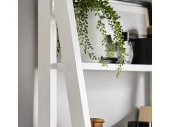 SoBuy Wandregale^Wandregal Leiterregal Standregal Bücherregal Weiß FRG61-W