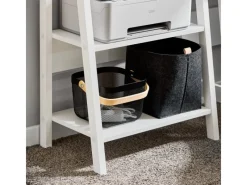 SoBuy Wandregale^Wandregal Leiterregal Standregal Bücherregal Weiß FRG61-W