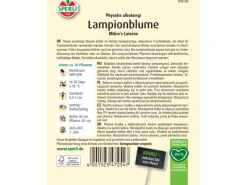 Sperli Laternen^Lampionblume "Mikie's Laterne" Physalis alkekengi