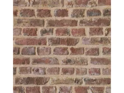 Tadessi Tapete Steinoptik Dino M1 No 28 Papiertapete Rot Braun Steintapete Modern