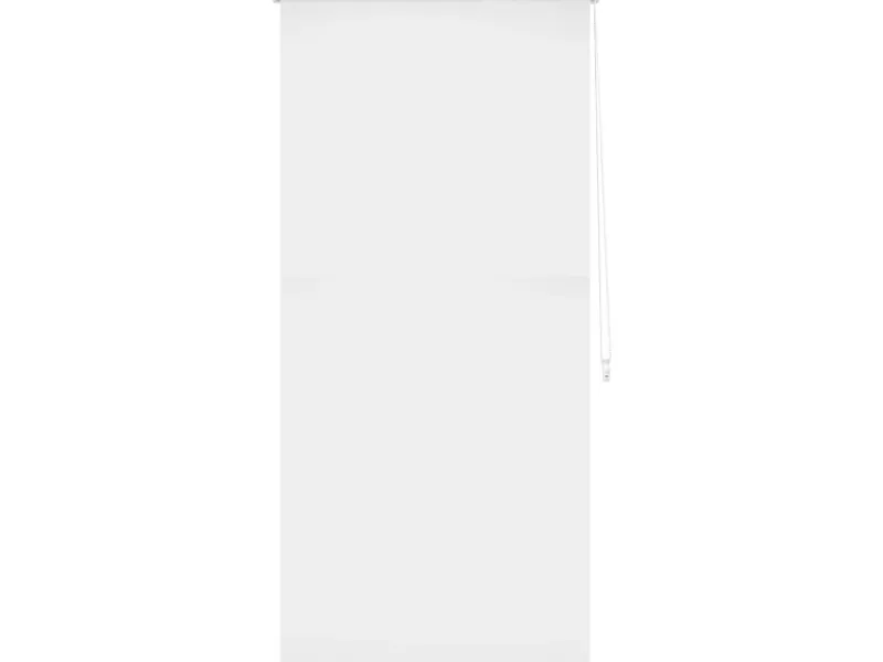 Tageslicht-Rollo Zamora 80 cm x 175 cm