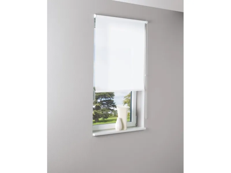 Raffrollos^Tageslicht-Rollo Zamora 100 cm x 175 cm