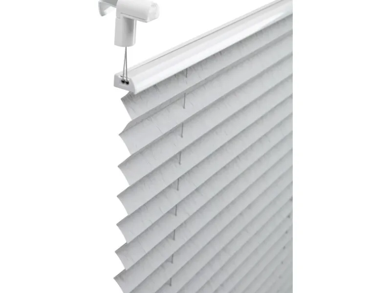 Tageslicht-Spannplissee Valeria 60 cm x 130 cm