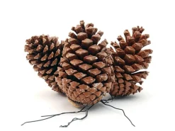 Tannenzapfen am Draht 10-14 cm Natur