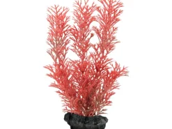 Tetra Kunstpflanzen^Kunstpflanze DecoArt Plant S Foxtail Red