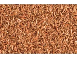 Tetra Reptilienfutter ReptoDelica Shrimps 1 l