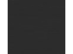 Tiger Toilettenpapierhalter Tune mit Deckel Metall gebürstet-