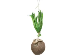 Trixie Kokosnuss am Sisalseil 35 cm