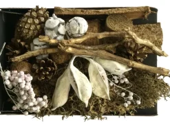 Kunstpflanzen|Bastelzubehör^Trockenpflanzen Dekomix Weiß-Natur