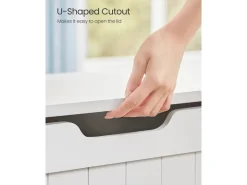 Vasagle Schuhtruhe 40 cm x 76 cm x 48 cm Weiß