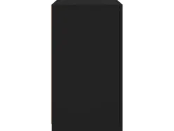 vidaXL Beistellschränke mit LED-Leuchten 2 Stk Schwarz Holzwerkstoff