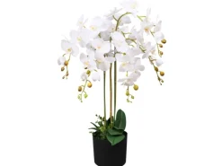 Kunstpflanzen^vidaXL Künstliche Orchidee mit Topf 75 cm Weiß