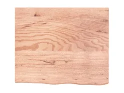 Regale Massivholz^vidaXL Waschtischplatte Hellbraun 60x50x4 cm Massivholz Behandelt