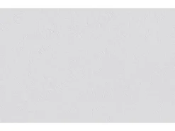 Erfurt Vliesfaser Basic 100