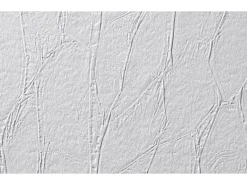 Erfurt Vliesfaser Protect 200