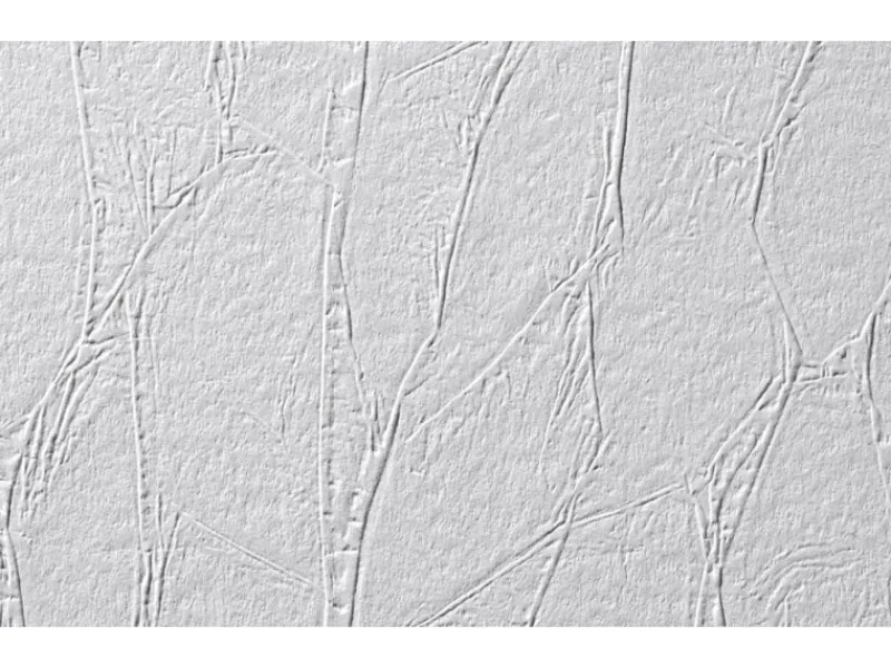 Erfurt Vliesfaser Protect 200