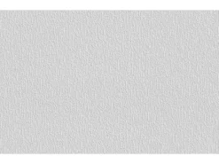 Erfurt Überstreichbare Tapeten^Vliesfaser Protect 202