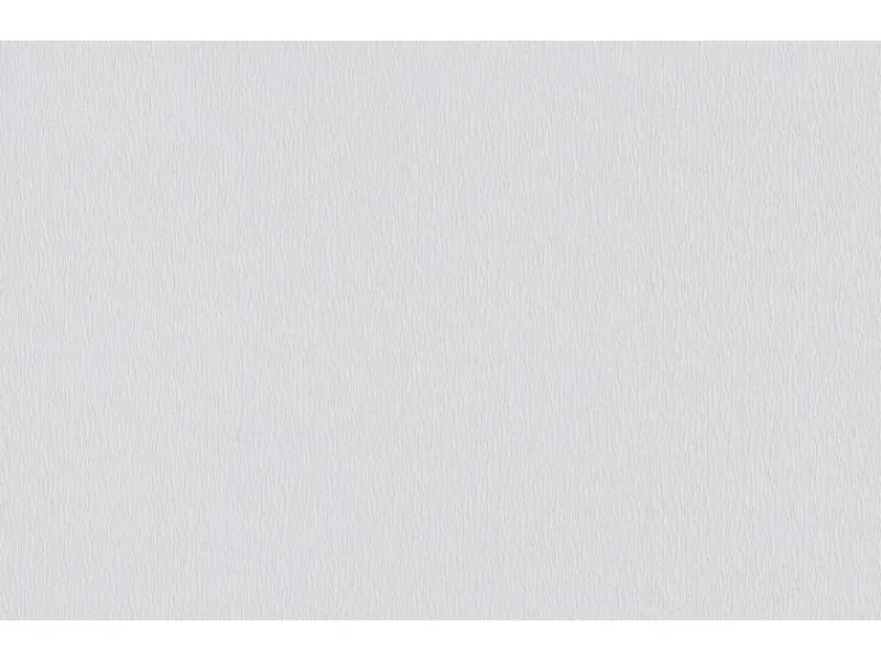 Erfurt Vliesfaser Protect 213