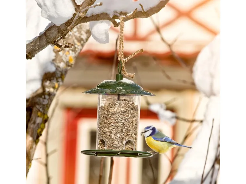 Windhager Vogelfuttersilo Compact