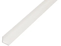 Winkelprofil ungleichschenklig Kunststoff 15 mm x 25 mm x 1.000 mm