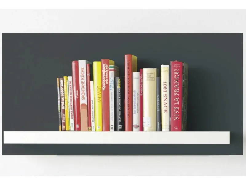 Alpina Color seidenmatt 250 ml Dark Grey