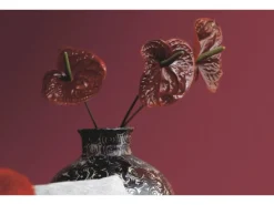 Alpina Farbrezepte matt 2,5 Liter